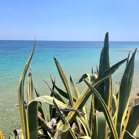 The White Loft * Avola